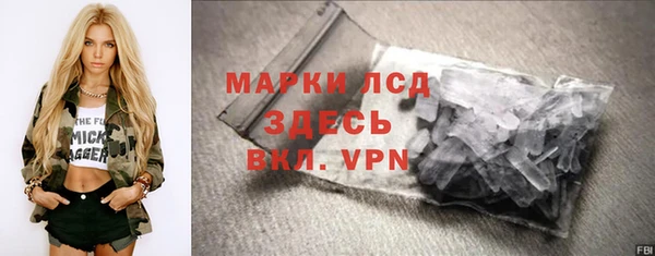 прущие грибы Абинск