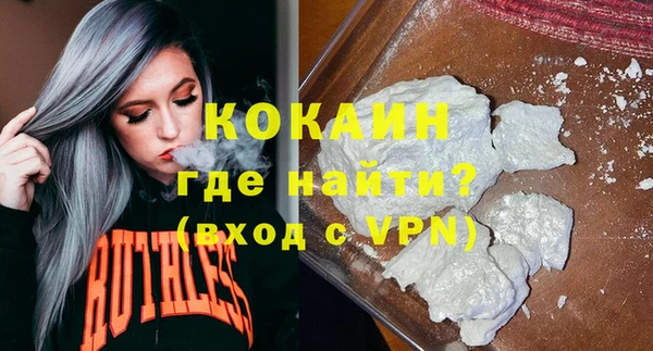 прущие грибы Абинск