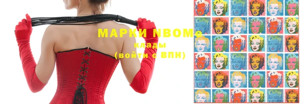 прущие грибы Абинск