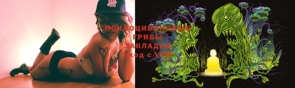 соль ск Абаза