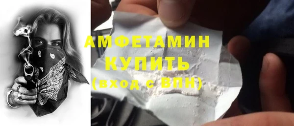 прущие грибы Абинск
