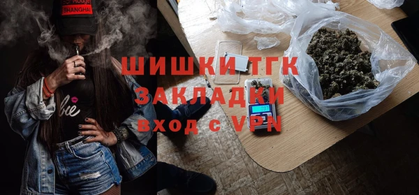 прущие грибы Абинск