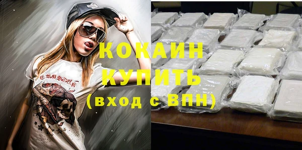 соль ск Абаза