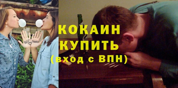 прущие грибы Абинск