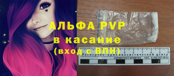 прущие грибы Абинск