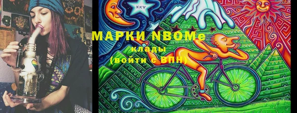 прущие грибы Абинск
