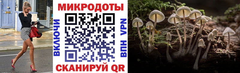 mega   Оренбург  Псилоцибиновые грибы Magic Shrooms 